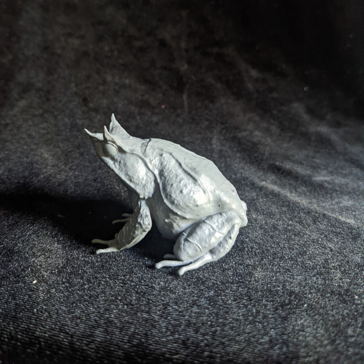 3D Printable Malayan Horned Frog Megophrys nasuta by Hellbender Museum