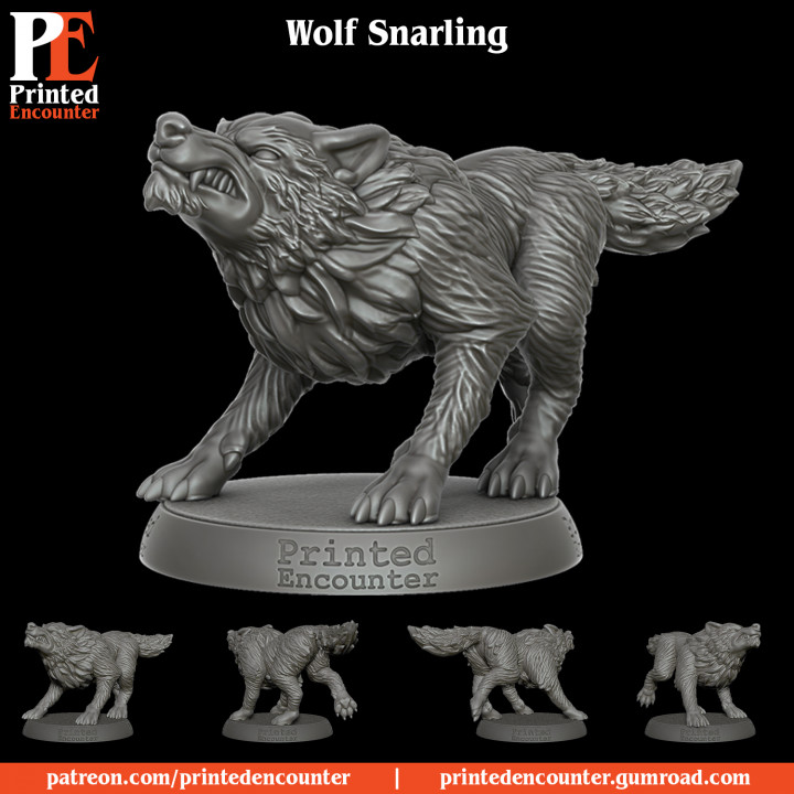 Wolf Snarling 2 image