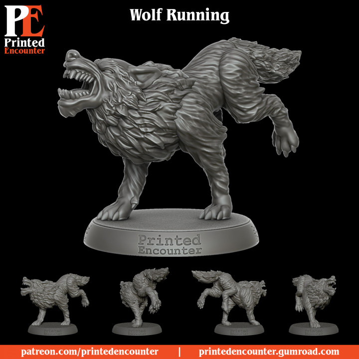 Wolf Running image