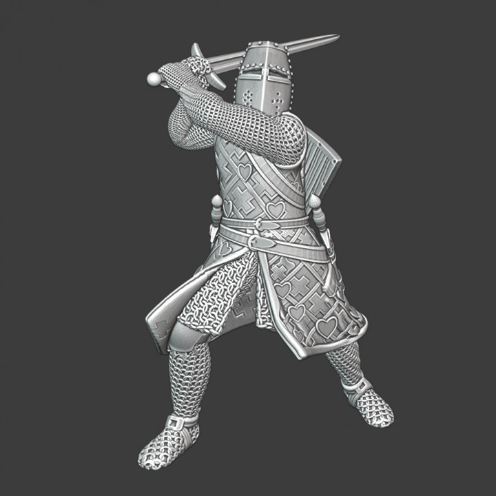 Medieval Noble Danish Knight image