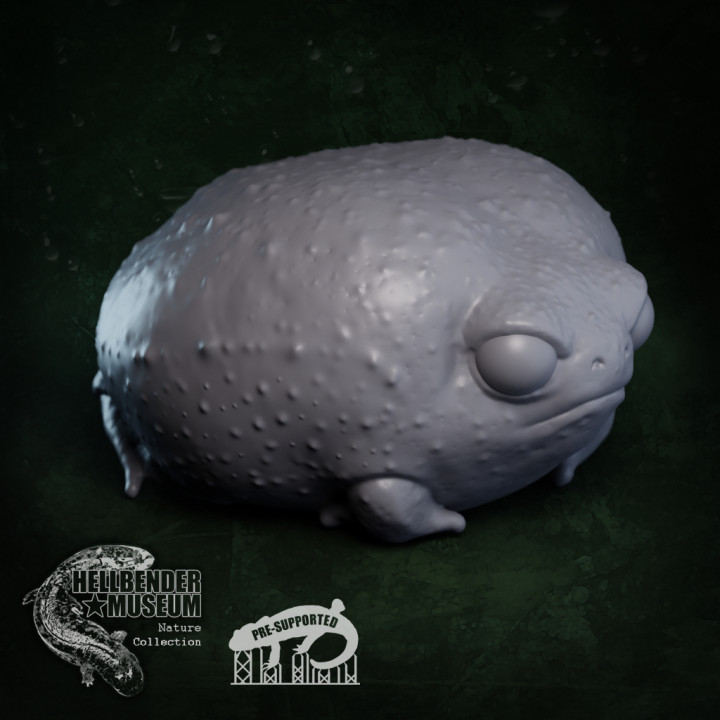 3D Printable Frogs, Volume 1: Multipack by Hellbender Museum