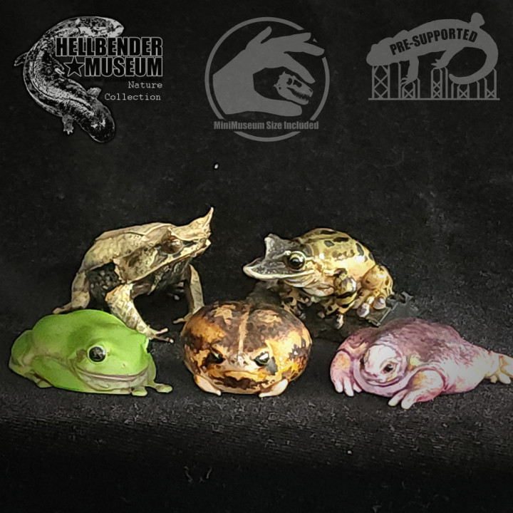 3D Printable Frogs, Volume 1: Multipack by Hellbender Museum