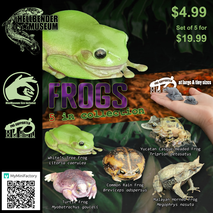 3D Printable Frogs, Volume 1: Multipack by Hellbender Museum