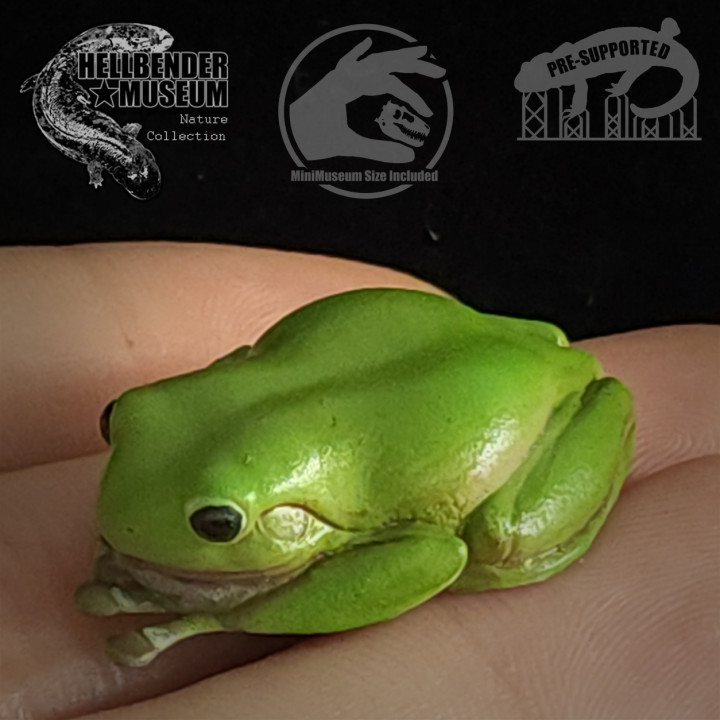 3D Printable Frogs, Volume 1: Multipack by Hellbender Museum