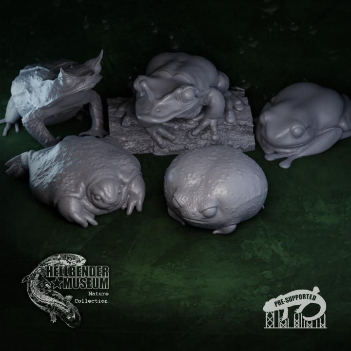 3D Printable Frogs, Volume 1: Multipack by Hellbender Museum