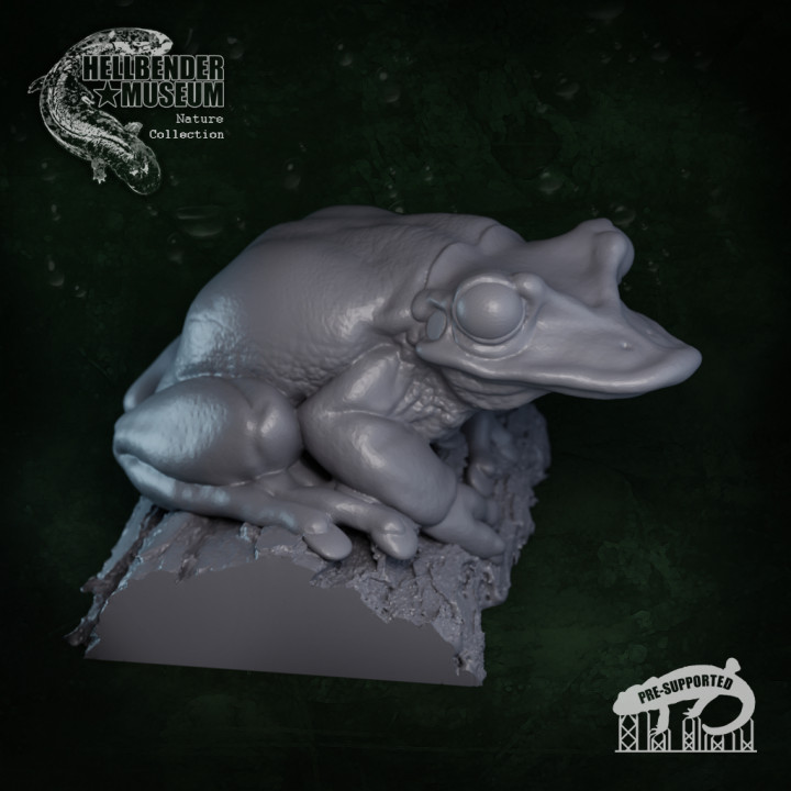 舞台FROGS 3D Printable Frogs, Volume 1: Multipack by Hellbender Museum