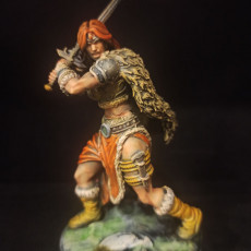 Picture of print of Barbarian - Valkyrie - FREEZING DARKNESS - MASTERS OF DUNGEONS QUEST