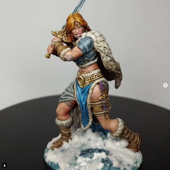 Barbarian - Valkyrie - FREEZING DARKNESS - MASTERS OF DUNGEONS QUEST image