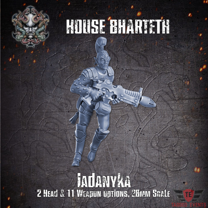House Bharteth - Iadanyka image