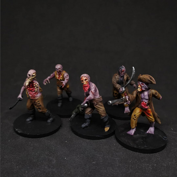 Zombie Pirates - The Blighted Privateers image