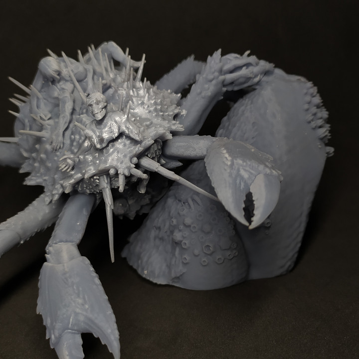 Cadaver Crab - The Blighted Privateers image