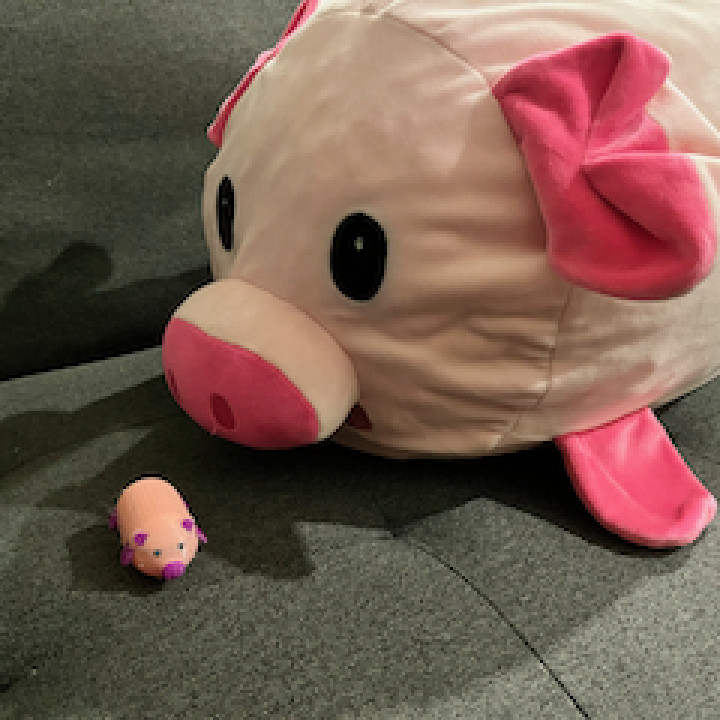 Piggy image