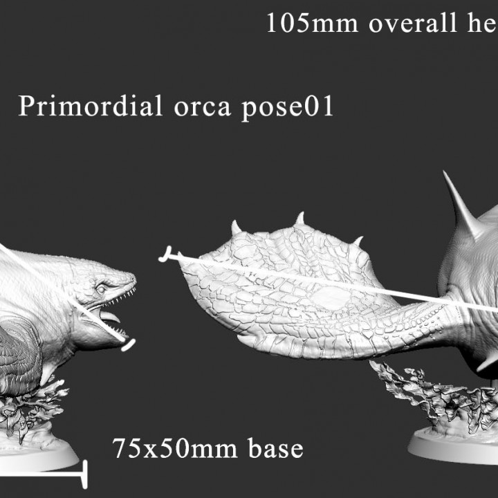 Primordial Orca (pose 1 of 2) image