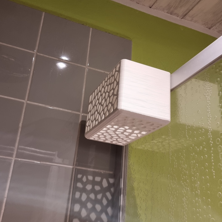 Voronoi Shower box image