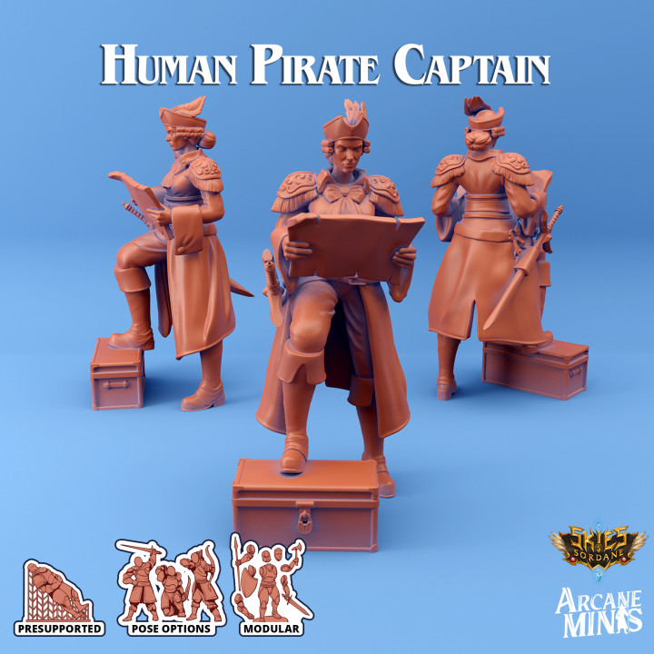 Human Pirate Captain - Carren Pirates image