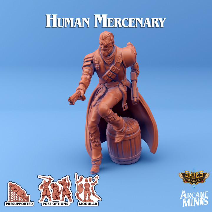 Human Mercenary - Carren Pirates image