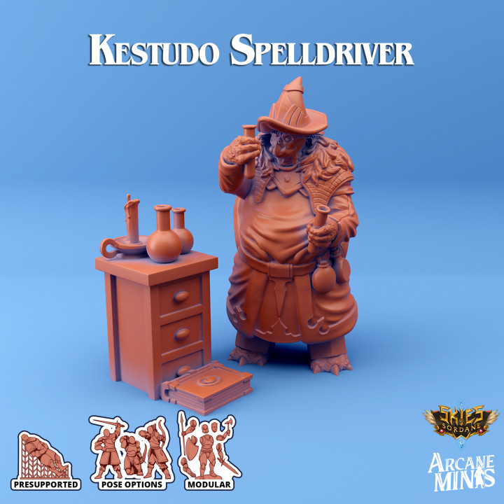 Kestudo Spelldriver - Carren Pirates image