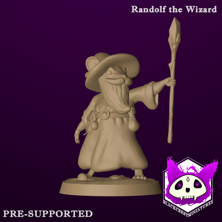 Randolf the Wizard image