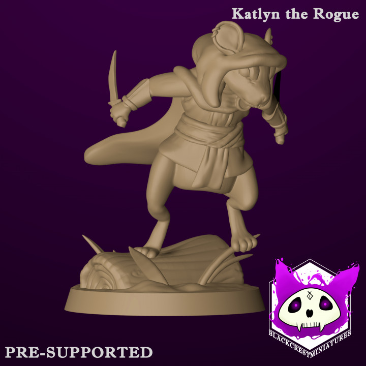 Katlyn the Rogue image