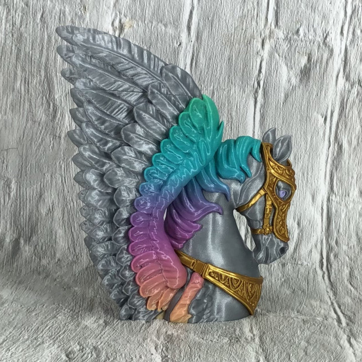 Pegasus: Sky Warrior image