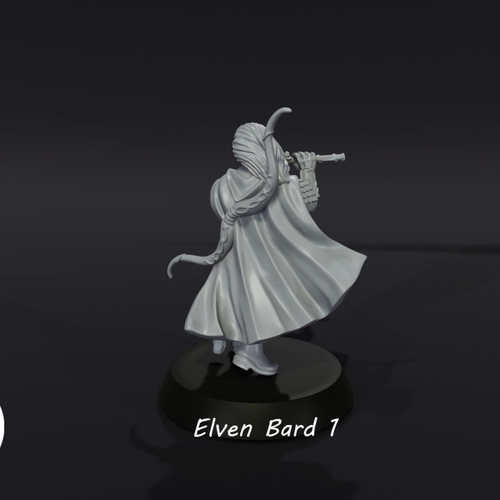 Elven Bard 1 image