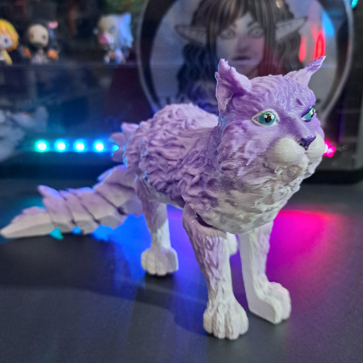 Flexy cat запись. Flexy cat запись