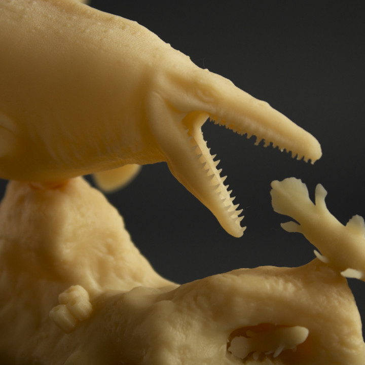Mosasaur hunting Coelacanth image