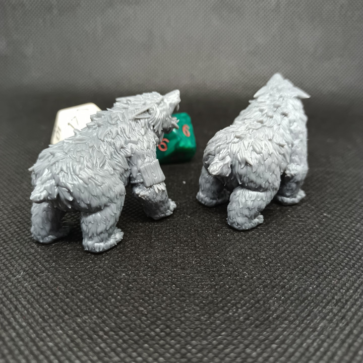 WP - Defenders Of The Glade - Bear Form Pose 1 image
