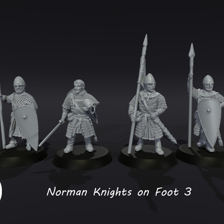 Norman Knights on Foot 3 image