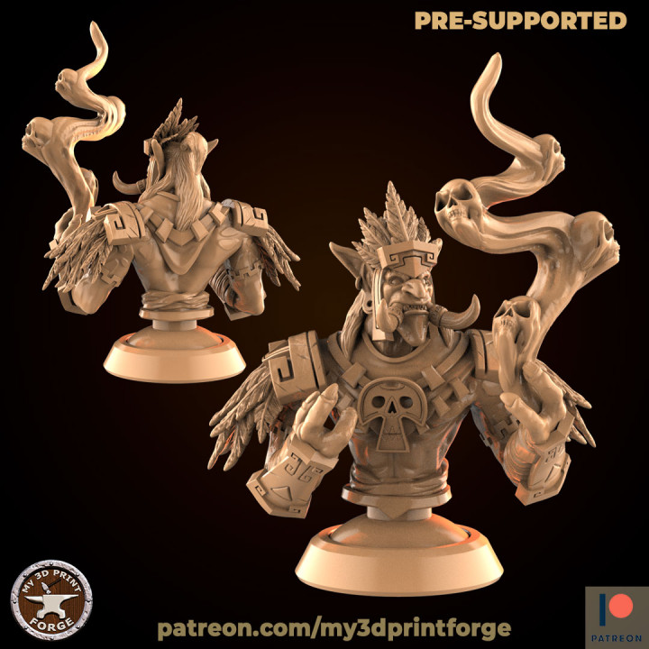 Tribe Troll Priest BUST image