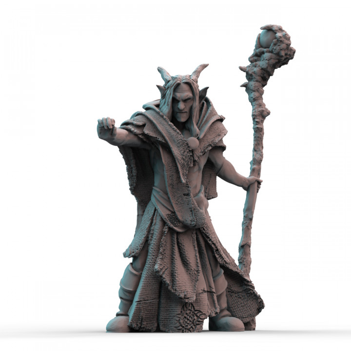 Elf Spellcaster (pre-supported) image