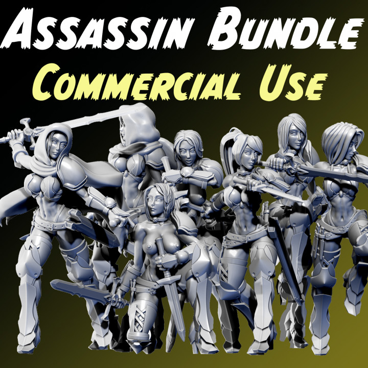 Anissa - Assassins - Commercial Use's Cover