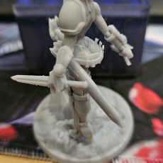 Picture of print of Anissa - Assassins - Personal Use