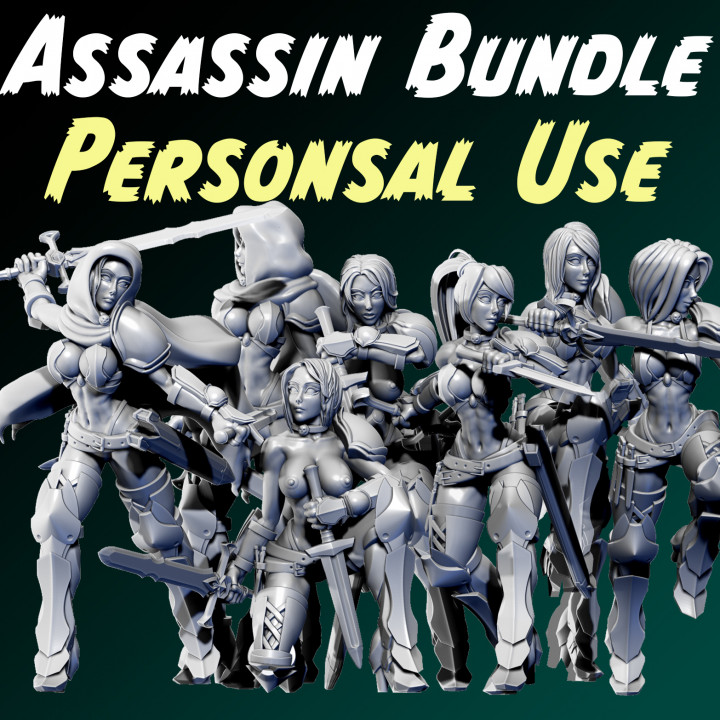 Anissa - Assassins - Personal Use's Cover