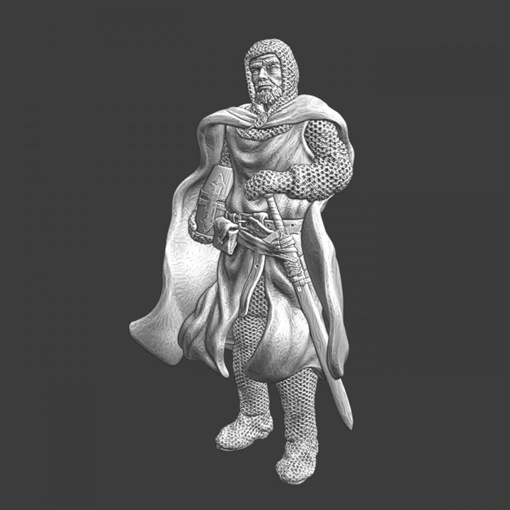 Medieval Order knight with cape image