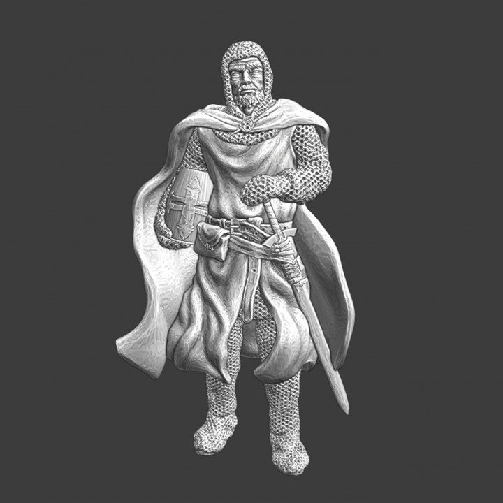 Medieval Order knight with cape image