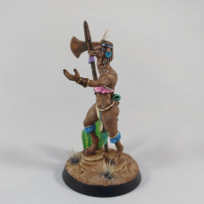 Picture of print of Llama Warrior - March