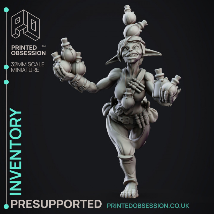 Inventory - Goblin Carrier - Goblin Potion Maker - PRESUPPORTED - 32mm scale image