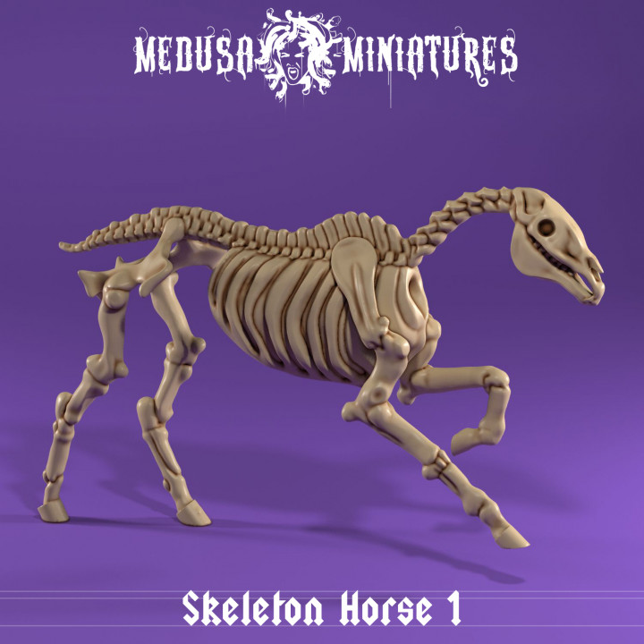 Skeleton Horse - Running image