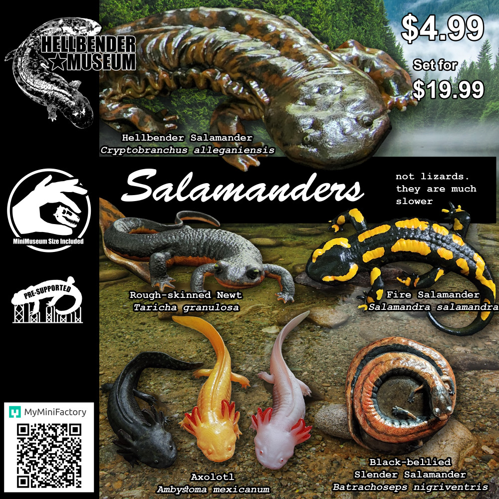 1000X1000-salamanderposter.jpg