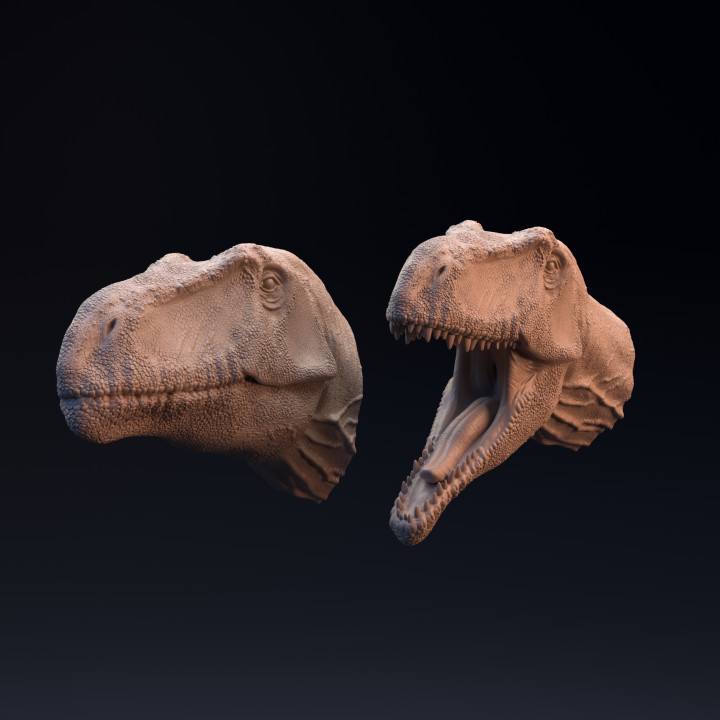 Giganotosaurus head mouth open and closed image