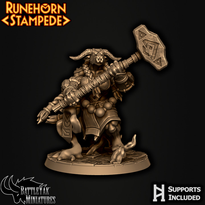 Runehorn Stonebreaker Female D image