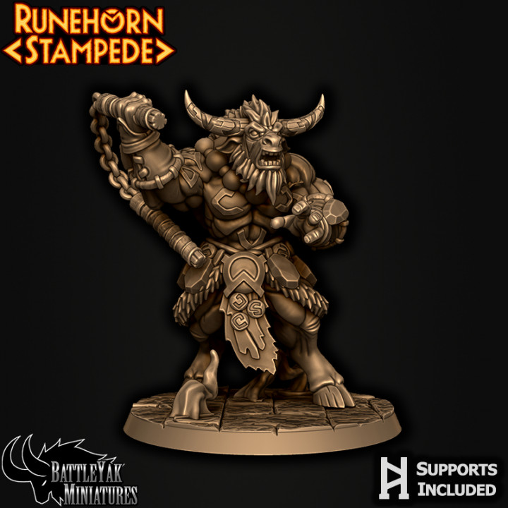 Runehorn Stonebreaker Pack M image