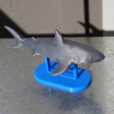 3D Printable Shark Tekashi 6IX9INE by Jose