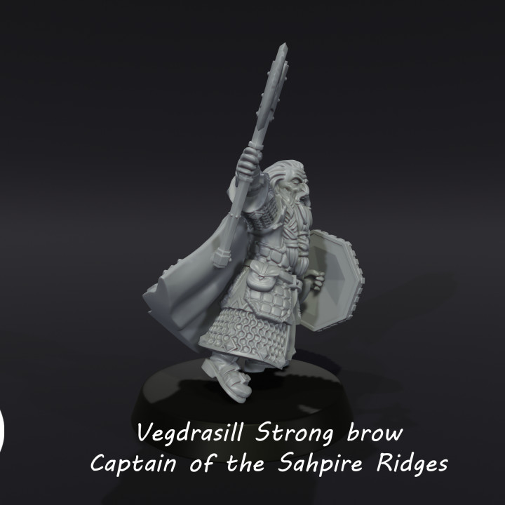 Vegdrasill Strong brow, Captain of the Dwarves of the Saphire Ridges image
