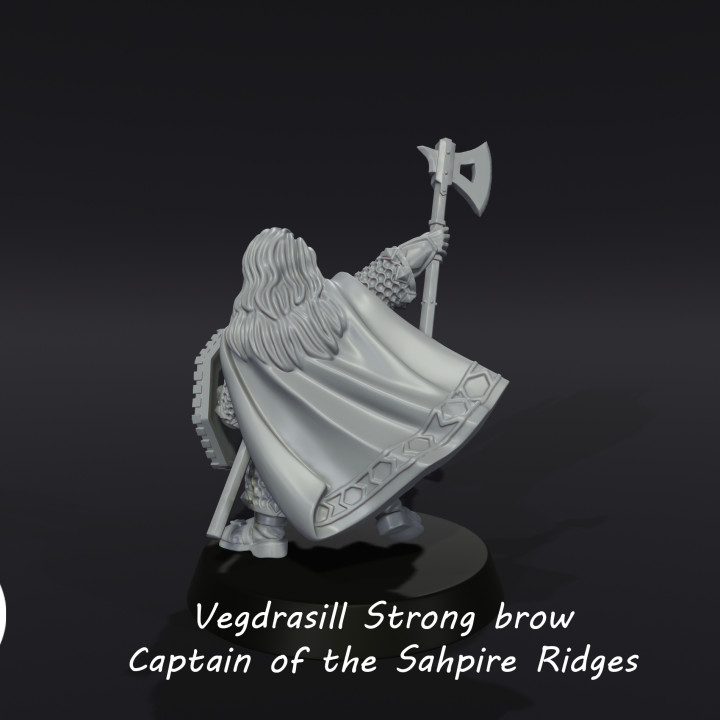 Vegdrasill Strong brow, Captain of the Dwarves of the Saphire Ridges image