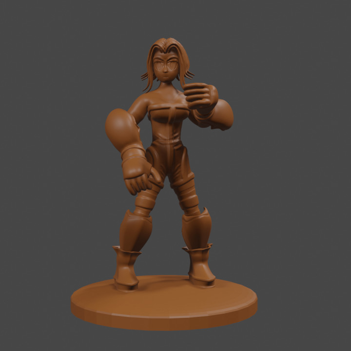 Final Fantasy Tactics inspired, female Monk, Tabletop DnD miniature, image