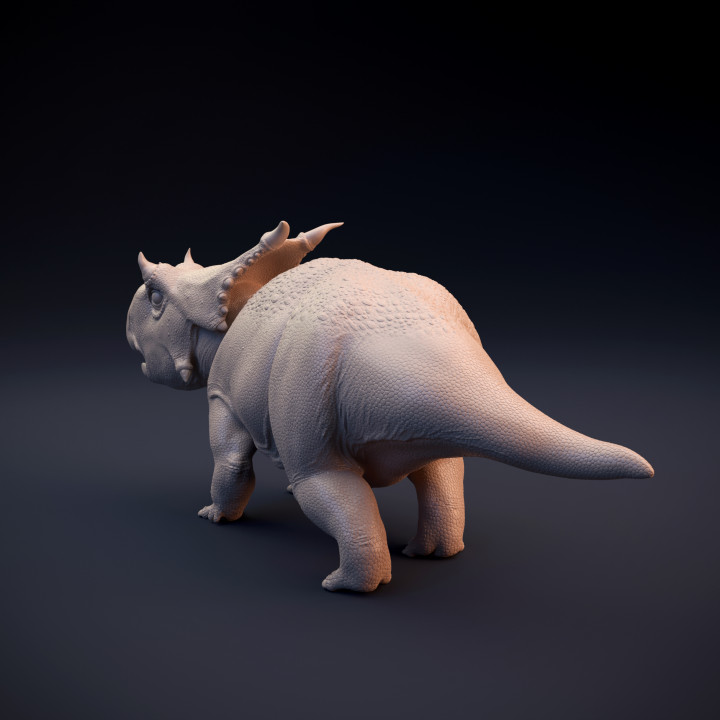 Juvenile Diabloceratops - dinosaur baby