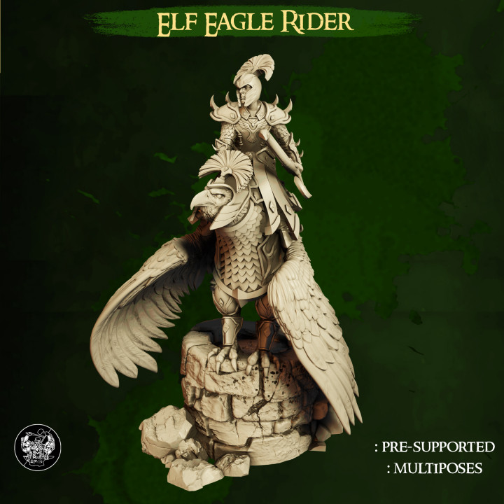 Eagle Rider - High Elves image