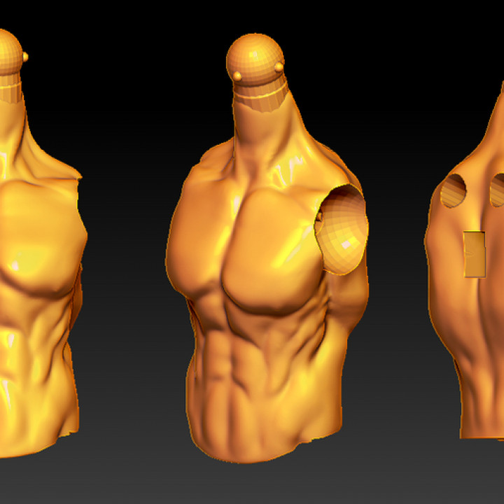 Male muscle torso for 2.0 image